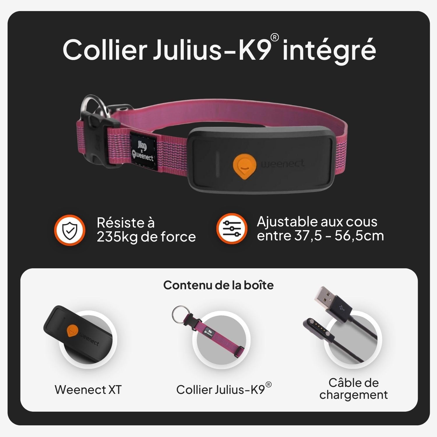 Weenect XT-hond - NIEUWE GPS-halsband voor honden | XL-antenne | waterdicht | geïntegreerde zeer sterke halsband Julius-K9 | werkt met abonnement | levenslange garantie