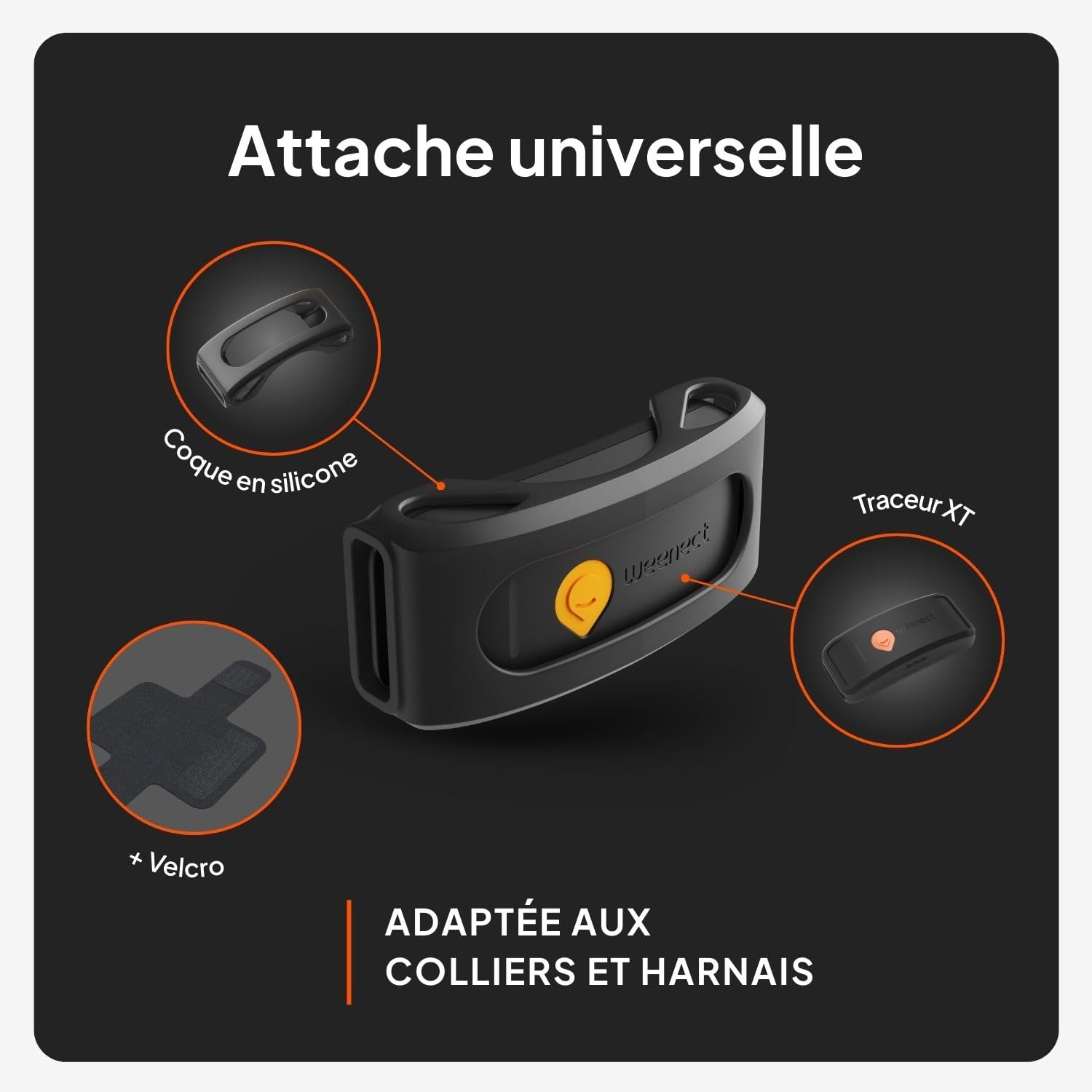 Weenect XT-hond - NIEUWE GPS-halsband voor honden | XL-antenne | waterdicht | geïntegreerde zeer sterke halsband Julius-K9 | werkt met abonnement | levenslange garantie