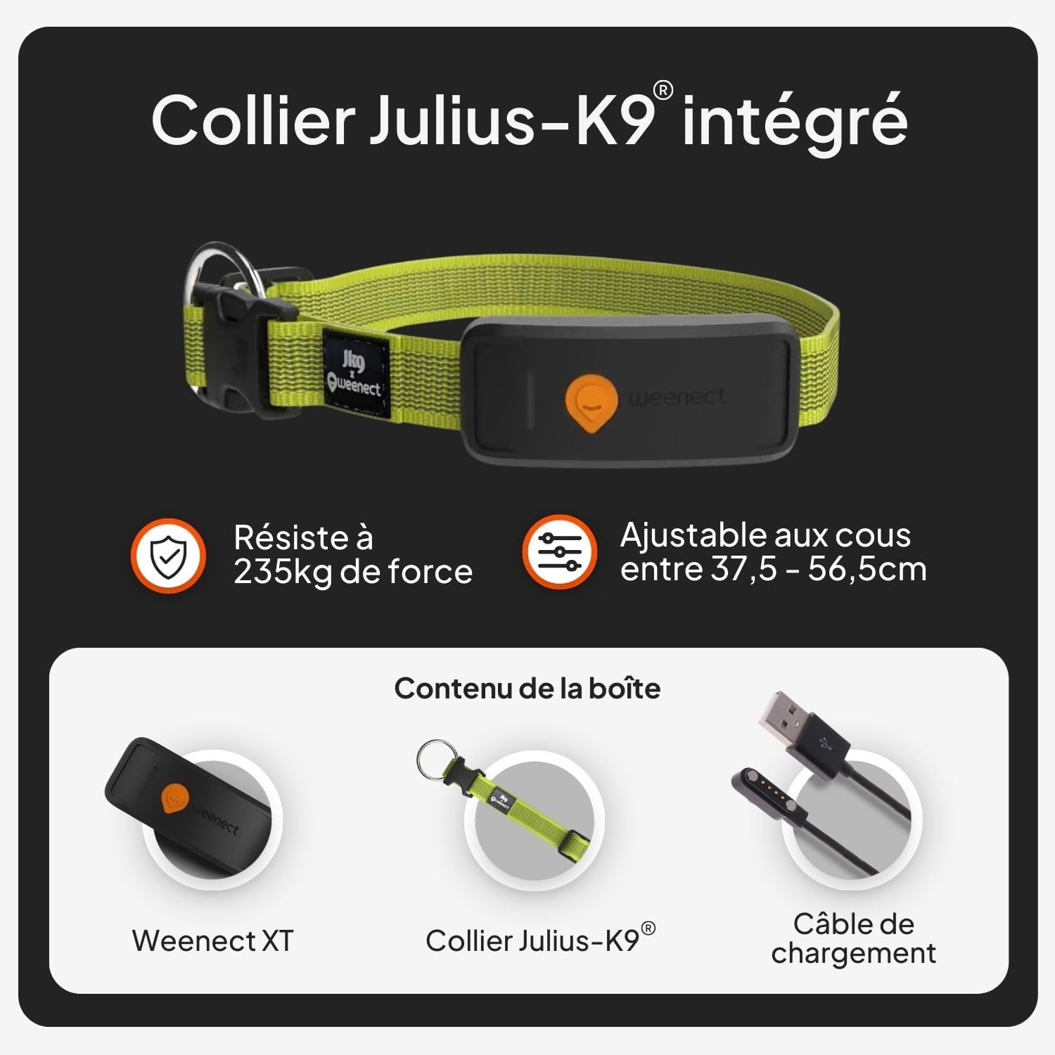 Weenect XT-hond - NIEUWE GPS-halsband voor honden | XL-antenne | waterdicht | geïntegreerde zeer sterke halsband Julius-K9 | werkt met abonnement | levenslange garantie