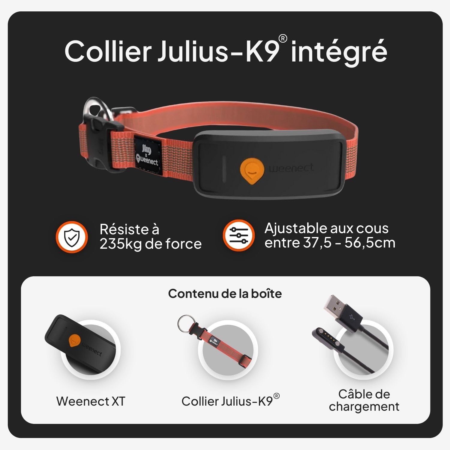 Weenect XT-hond - NIEUWE GPS-halsband voor honden | XL-antenne | waterdicht | geïntegreerde zeer sterke halsband Julius-K9 | werkt met abonnement | levenslange garantie