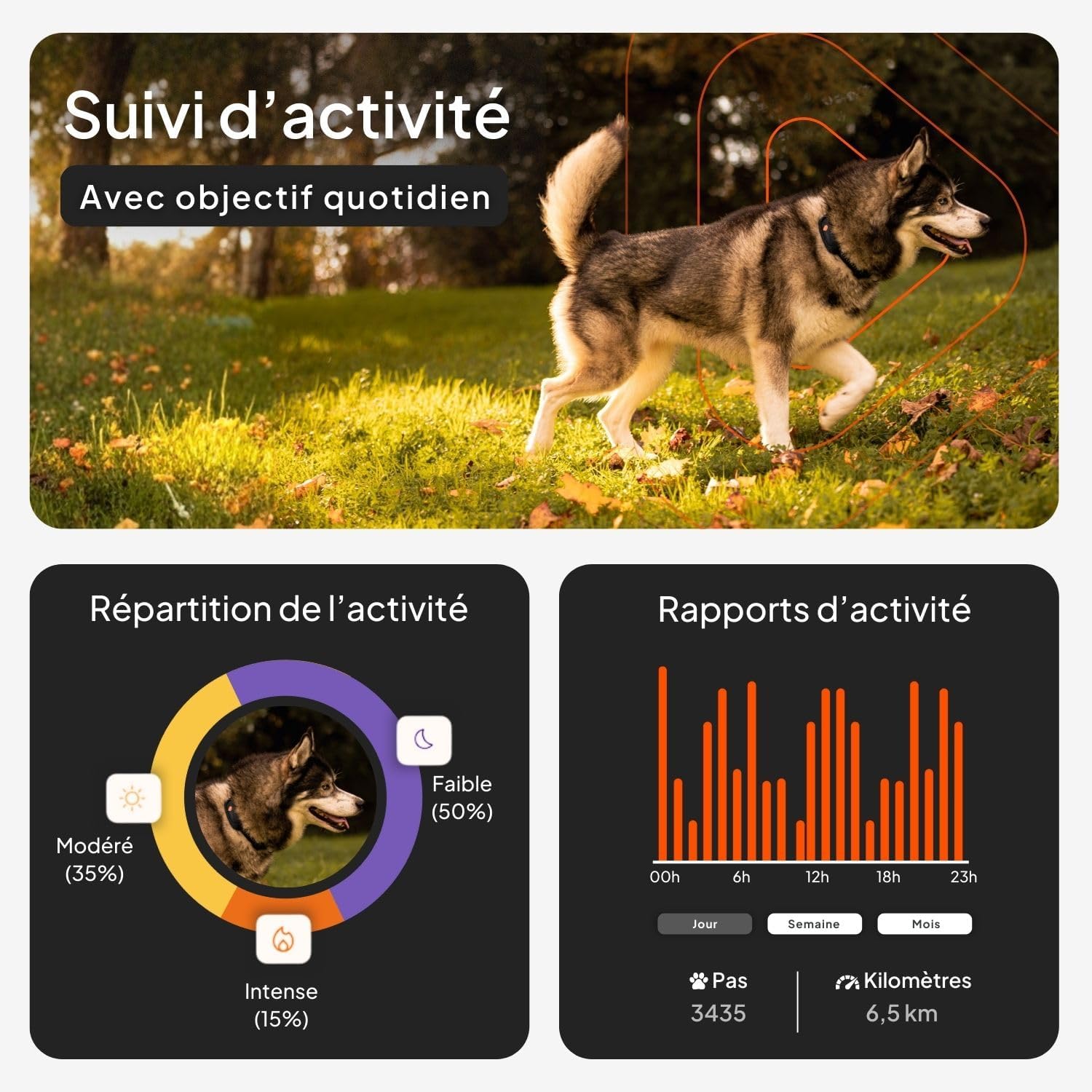 Weenect XT-hond - NIEUWE GPS-halsband voor honden | XL-antenne | waterdicht | geïntegreerde zeer sterke halsband Julius-K9 | werkt met abonnement | levenslange garantie